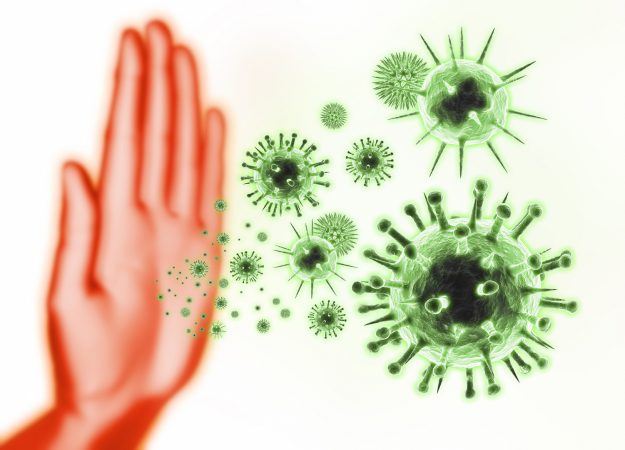 Immunsystem